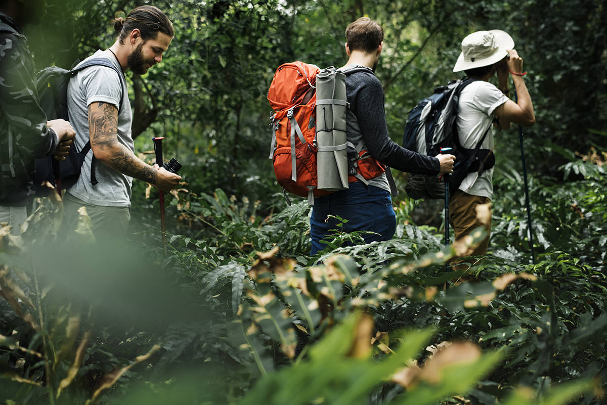 Trekking Forest Trail